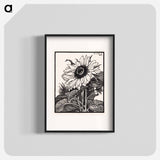 Sunflower - Julie de Grague Poster.