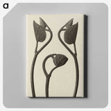 1-9_Karl-Blossfeldt_canvas