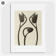 1-9_Karl-Blossfeldt_picture