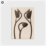 アートポストカード-Aristolochia stems and leaves - カール ブロスフェルト Postcard.