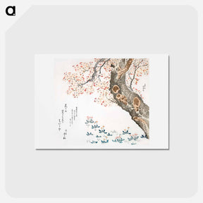 アートポストカード-Katsushika Hokusai’s cherry tree - 葛飾 北斎 Postcard.