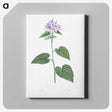 1-9_La-Botanique_canvas