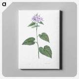1-9_La-Botanique_canvas