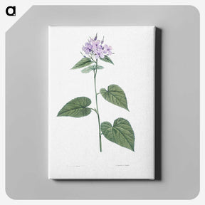 1-9_La-Botanique_canvas
