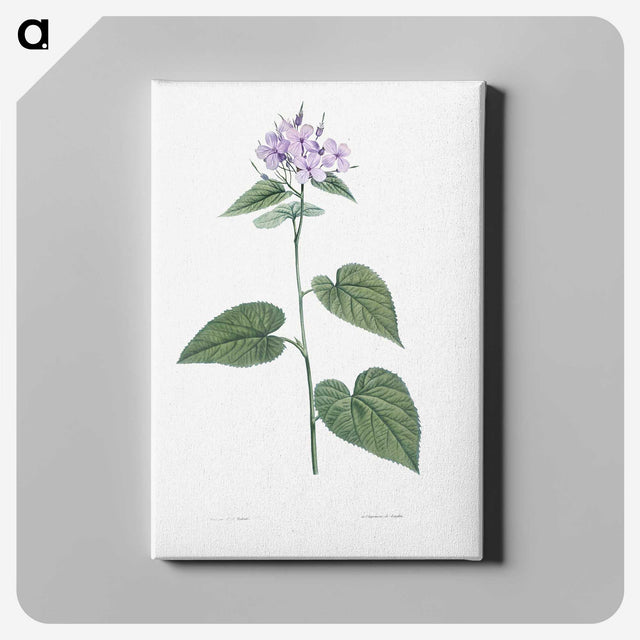 1-9_La-Botanique_canvas