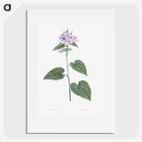 1-9_La-Botanique_picture
