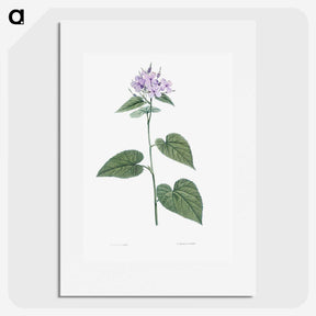 1-9_La-Botanique_picture