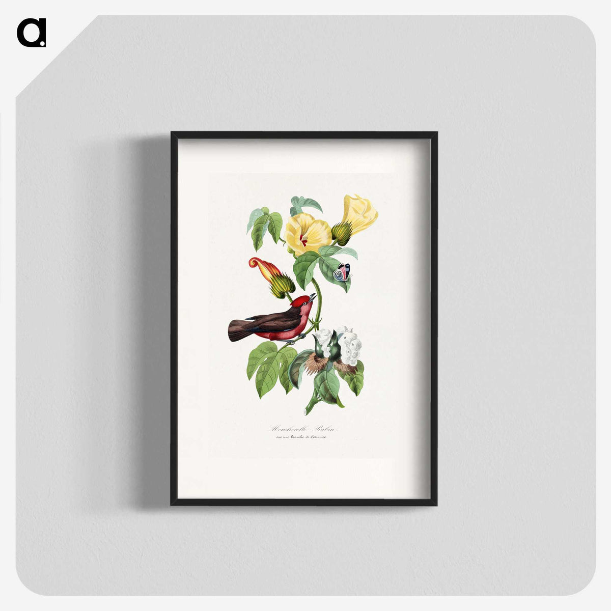 1-9_Le-Jardin-des-Plantes_blk