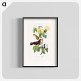 1-9_Le-Jardin-des-Plantes_blk