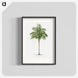 1-9_Les-Palmiers-Histoire-Iconographique_blk