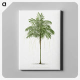 1-9_Les-Palmiers-Histoire-Iconographique_canvas