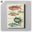 1-9_Louis-Renard_canvas