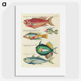 1-9_Louis-Renard_picture