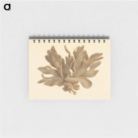 アートメモ帳-Untitled
 - ルイージ バルガーニ Memo.