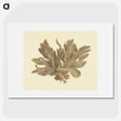 1-9_Luigi-Balugani_picture