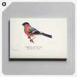 1-9_Magnus-von-Wright_canvas