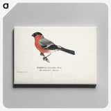 1-9_Magnus-von-Wright_canvas