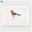 1-9_Magnus-von-Wright_picture