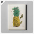 1-9_Maria-Sibylla-Merian_canvas