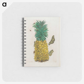 1-9_Maria-Sibylla-Merian_memo