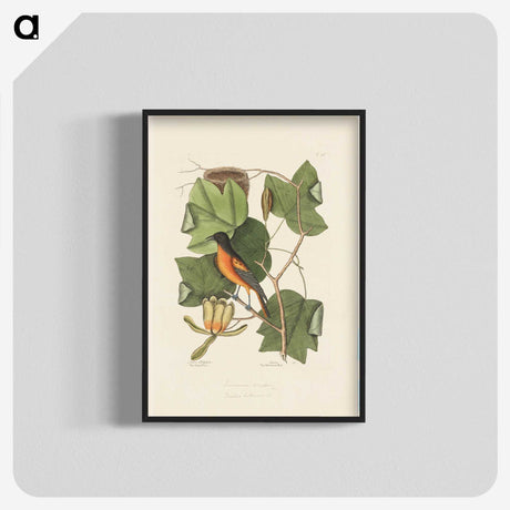 1-9_Mark-Catesby_blk-crop