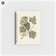 1-9_Mark-Catesby_memo