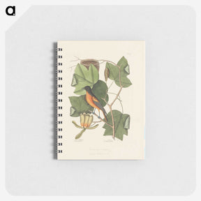 1-9_Mark-Catesby_memo