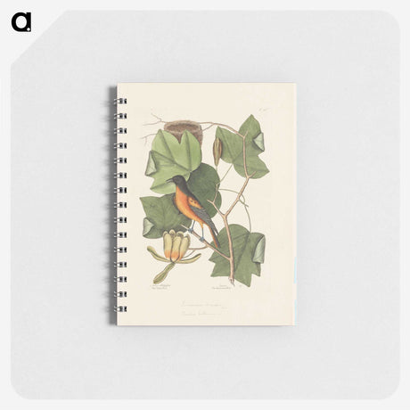 1-9_Mark-Catesby_memo