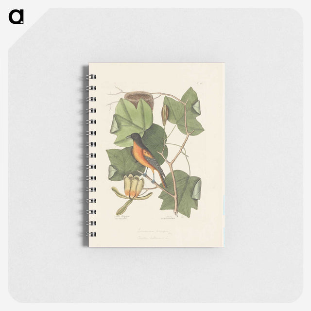 1-9_Mark-Catesby_memo