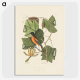 1-9_Mark-Catesby_picture-crop