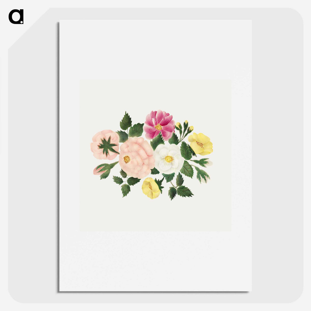 1-9_Mary-Altha-Nims_picture