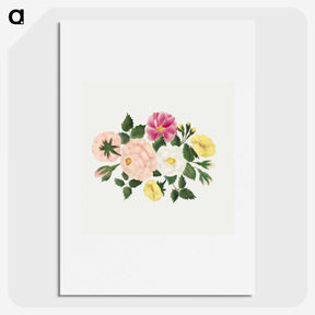 1-9_Mary-Altha-Nims_picture