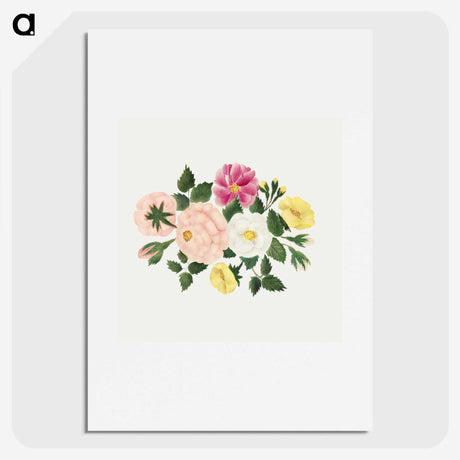 1-9_Mary-Altha-Nims_picture