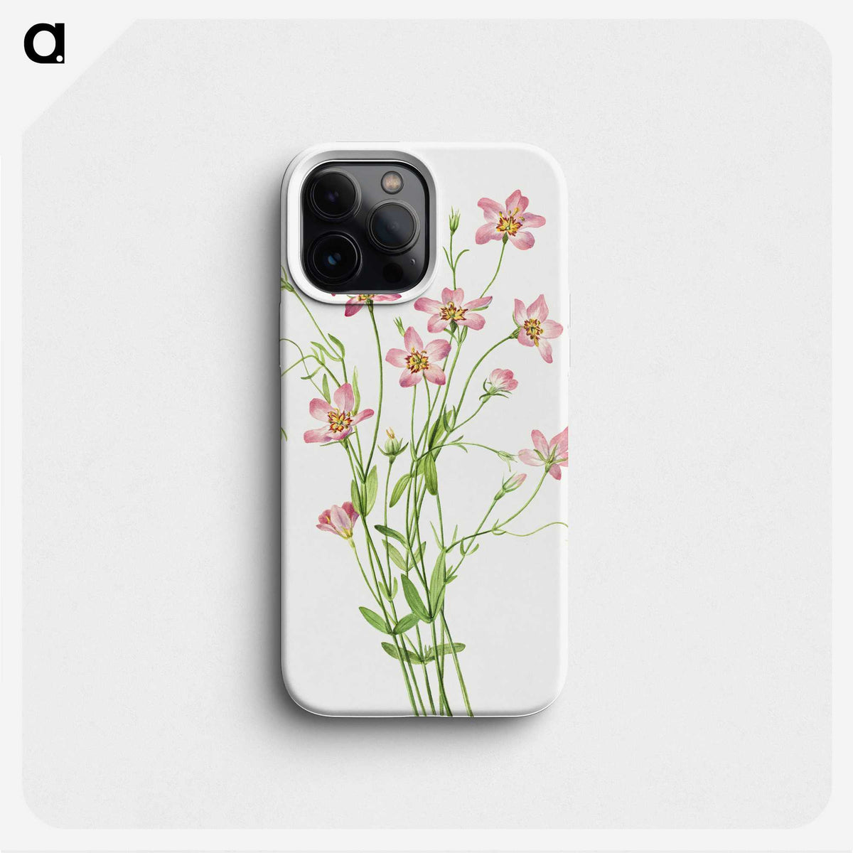 1-9_Mary-Vaux-Walcott_phone
