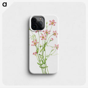 1-9_Mary-Vaux-Walcott_phone