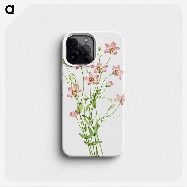1-9_Mary-Vaux-Walcott_phone