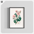 アートポスター-Rosa canina
 - 薬用植物学 Poster.