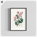 1-9_Medical-Botany_blk