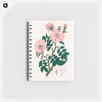 アートメモ帳-Rosa canina
 - 薬用植物学 Memo.