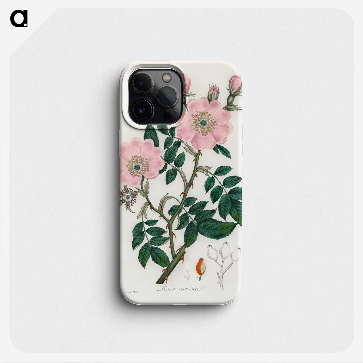 1-9_Medical-Botany_phone