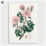 1-9_Medical-Botany_picture-crop