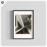 1-9_Milos-Dohnany_blk