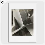 1-9_Milos-Dohnany_picture