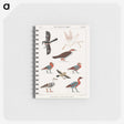 1-9_Monuments-of-Egypt-and-Nubia_memo