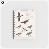 1-9_Monuments-of-Egypt-and-Nubia_memo