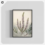 1-9_Native-Flowering-Plants-of-New-Zealand_blk-crop