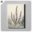 1-9_Native-Flowering-Plants-of-New-Zealand_canvas