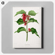 1-9_Nederlandsche-Flora-en-Pomona_canvas