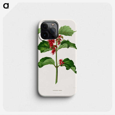 1-9_Nederlandsche-Flora-en-Pomona_phone