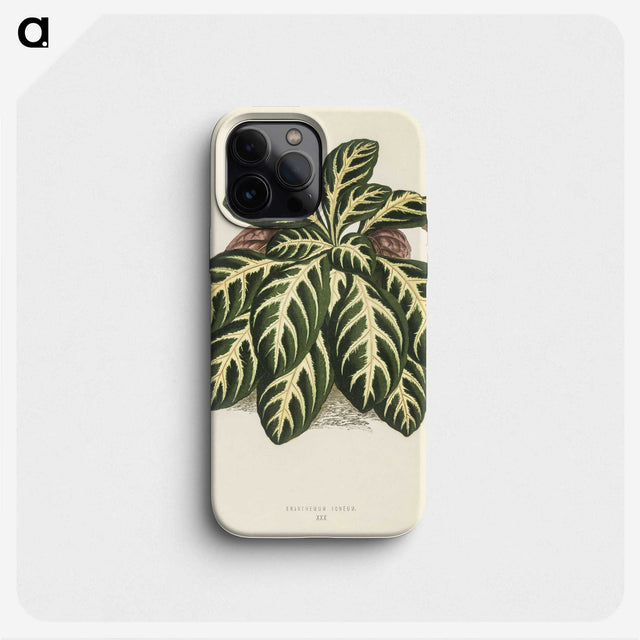 1-9_New-and-Rare-Beautiful-Leaved-Plants_phone